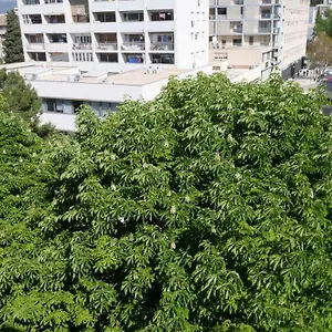  Apartment Neva